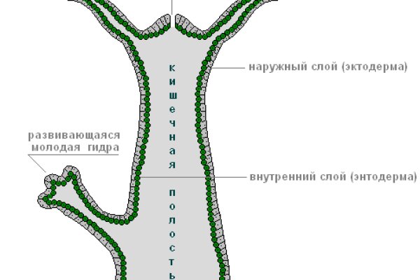 Даркмаркет кракен